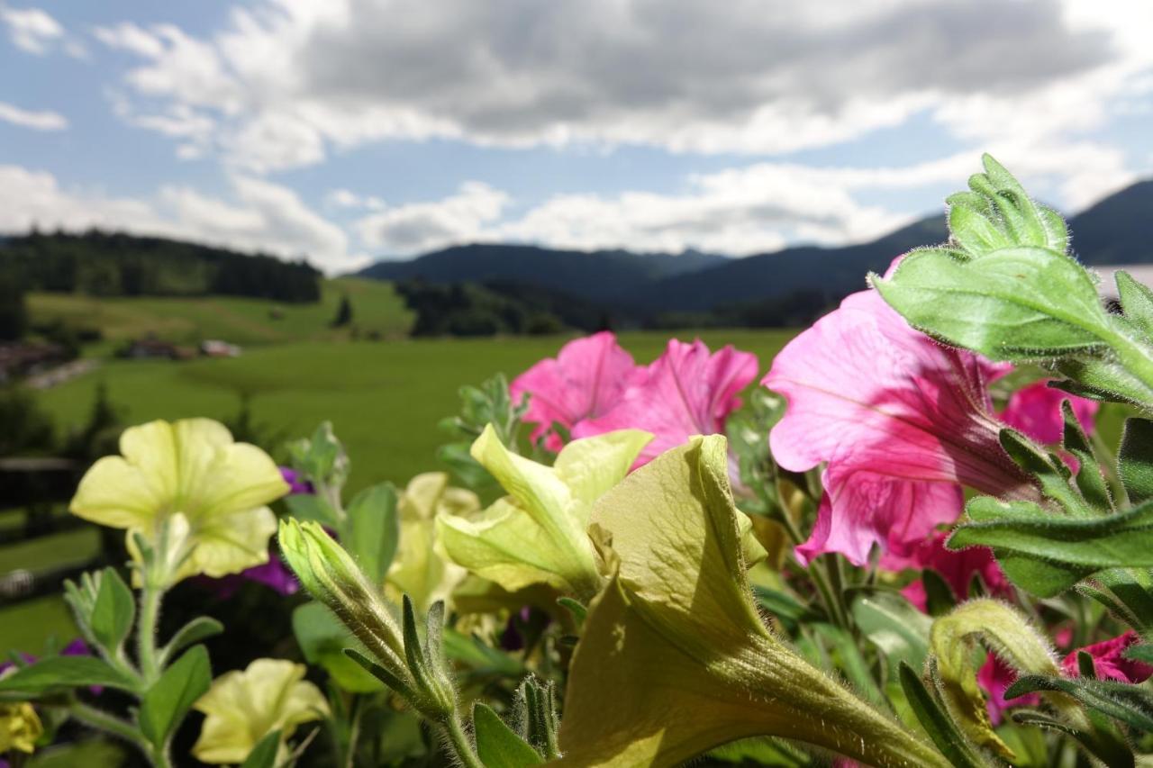 Atelierhaus Ferienwohnungen Fischen im Allgaeu Kültér fotó